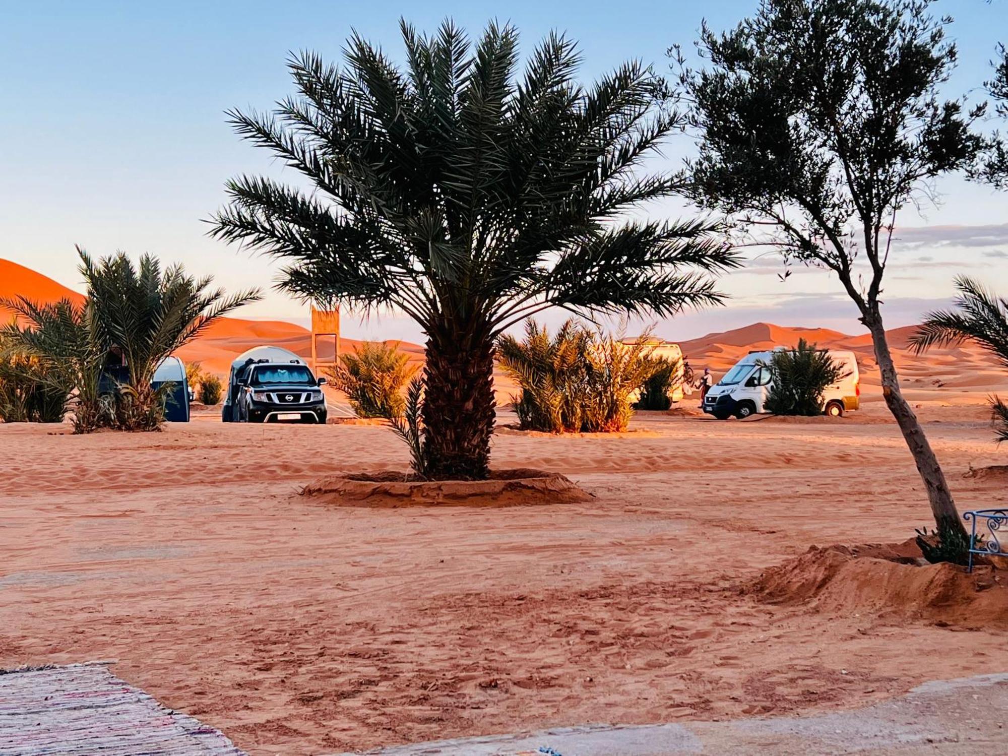 מרזאוגה Hotel Camping Les Roses Des Dunes & Piscine מראה חיצוני תמונה